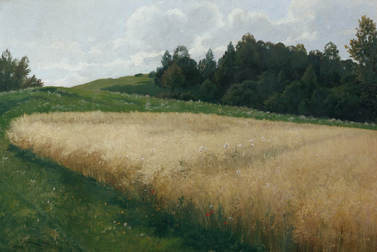 Il campo d