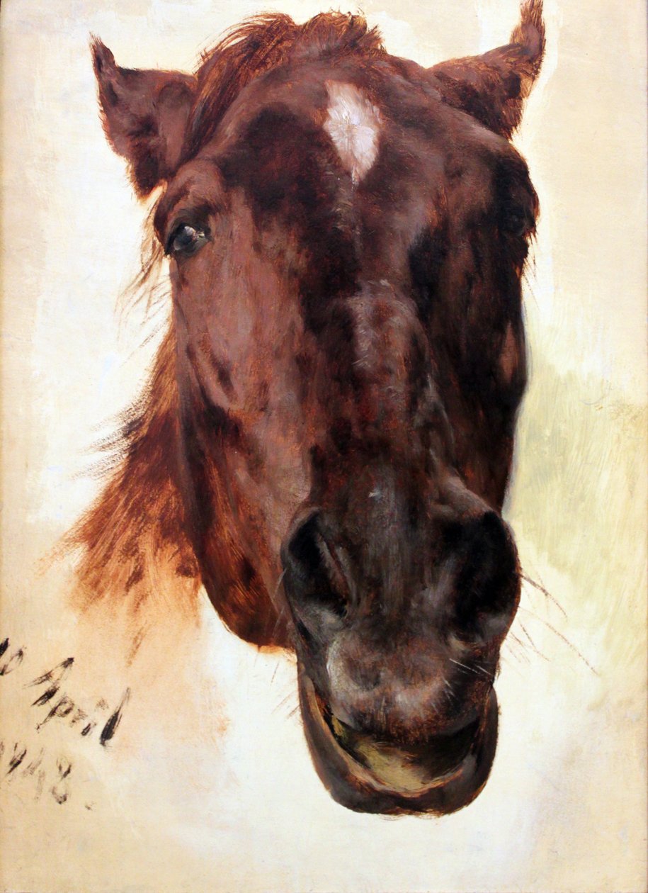 Studio di cavallo da Adolph Menzel