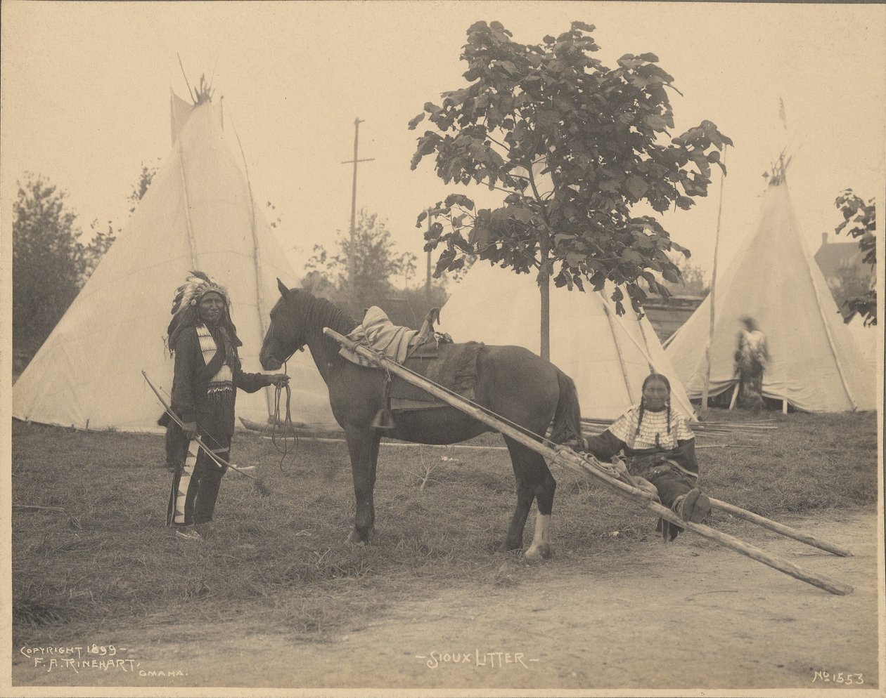 Sioux Litter da Adolph F. Muhr