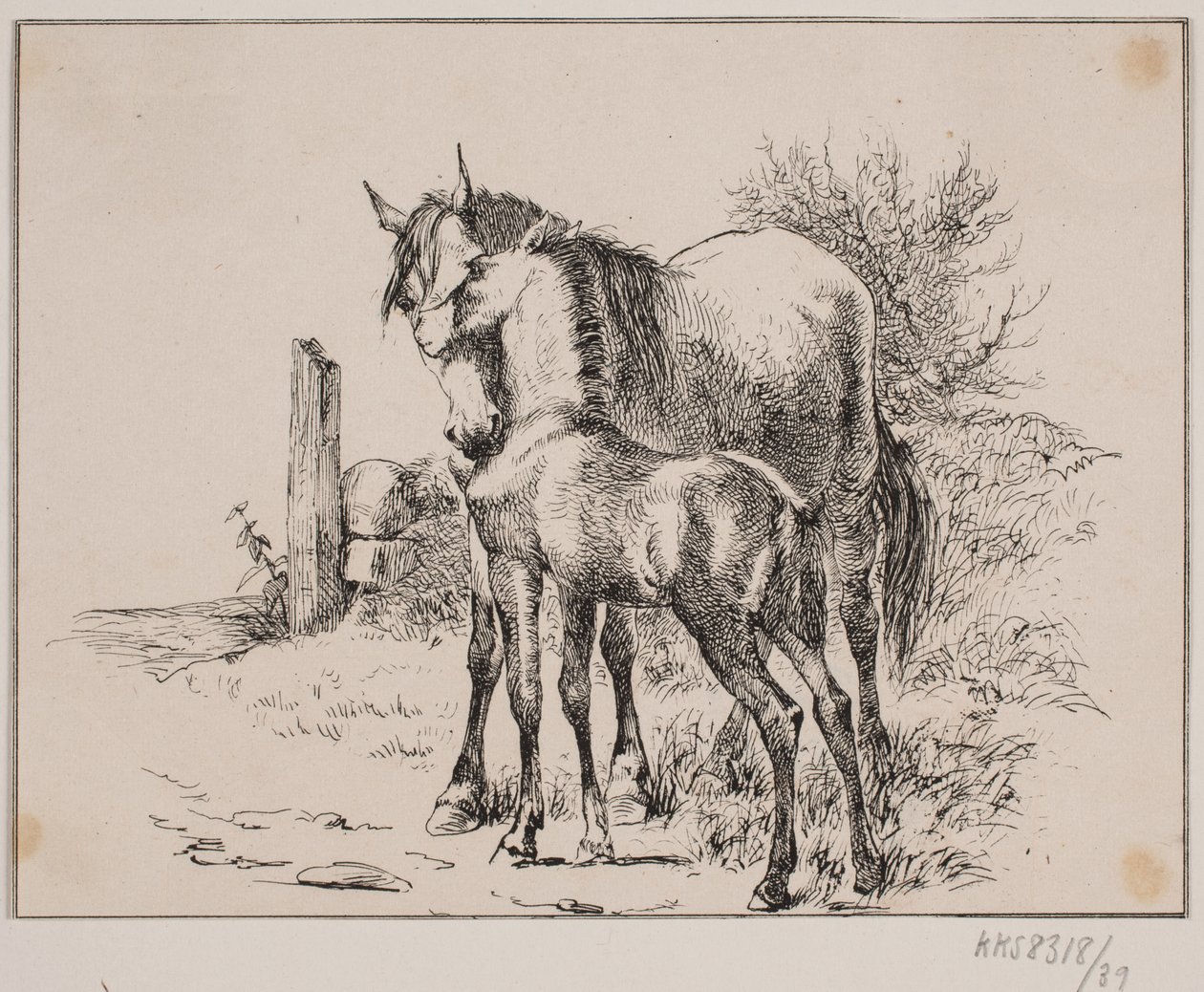 Il cavallo e il puledro da Johan Adolph Kittendorff