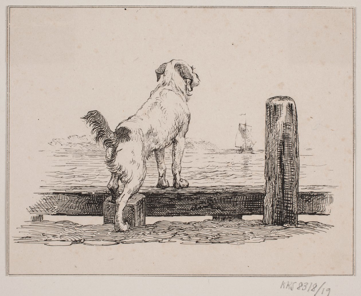 Cane sulla spiaggia da Johan Adolph Kittendorff