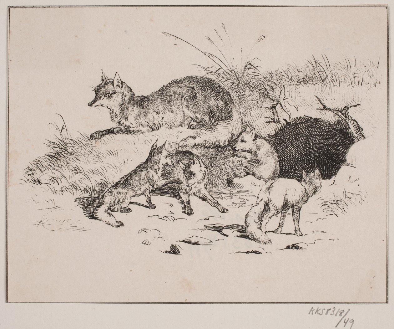 La volpe da Johan Adolph Kittendorff