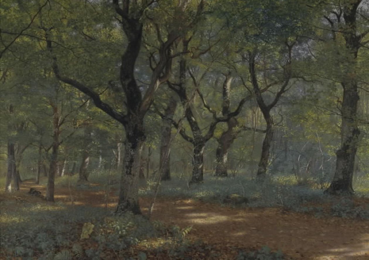Dentro la foresta da Adolph Larsen