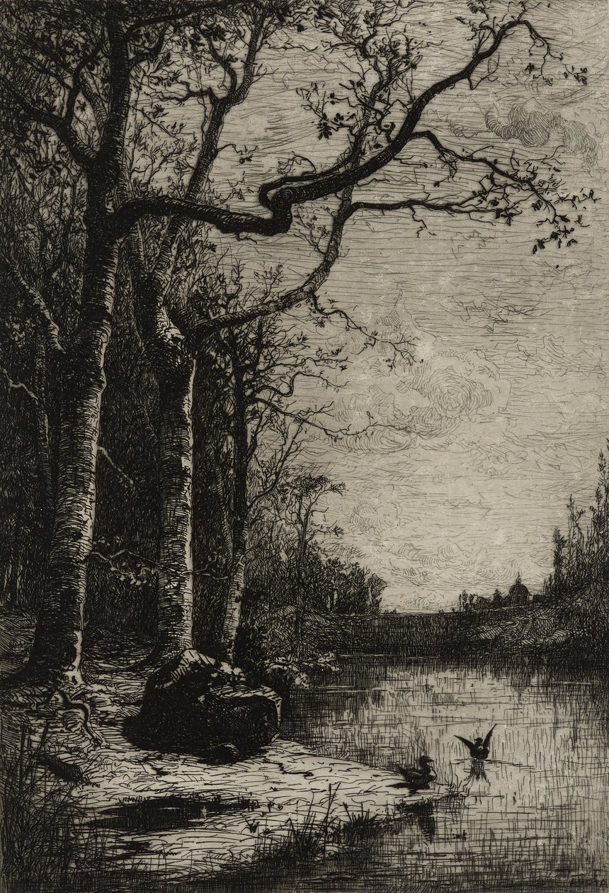 La palude di Burbanche (grande lastra) da Adolphe Appian