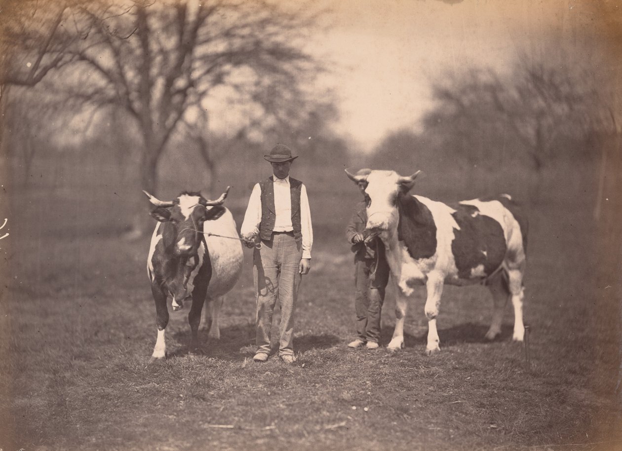 Paesaggio, c. 1864 (foto) da Adolphe Braun