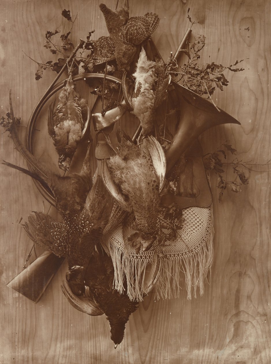 Fagiano e gallo cedrone, ca. 1865 da Adolphe Braun
