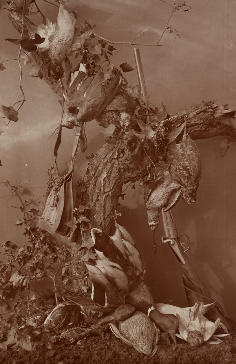 [Still Life: Dead Game] da Adolphe Braun