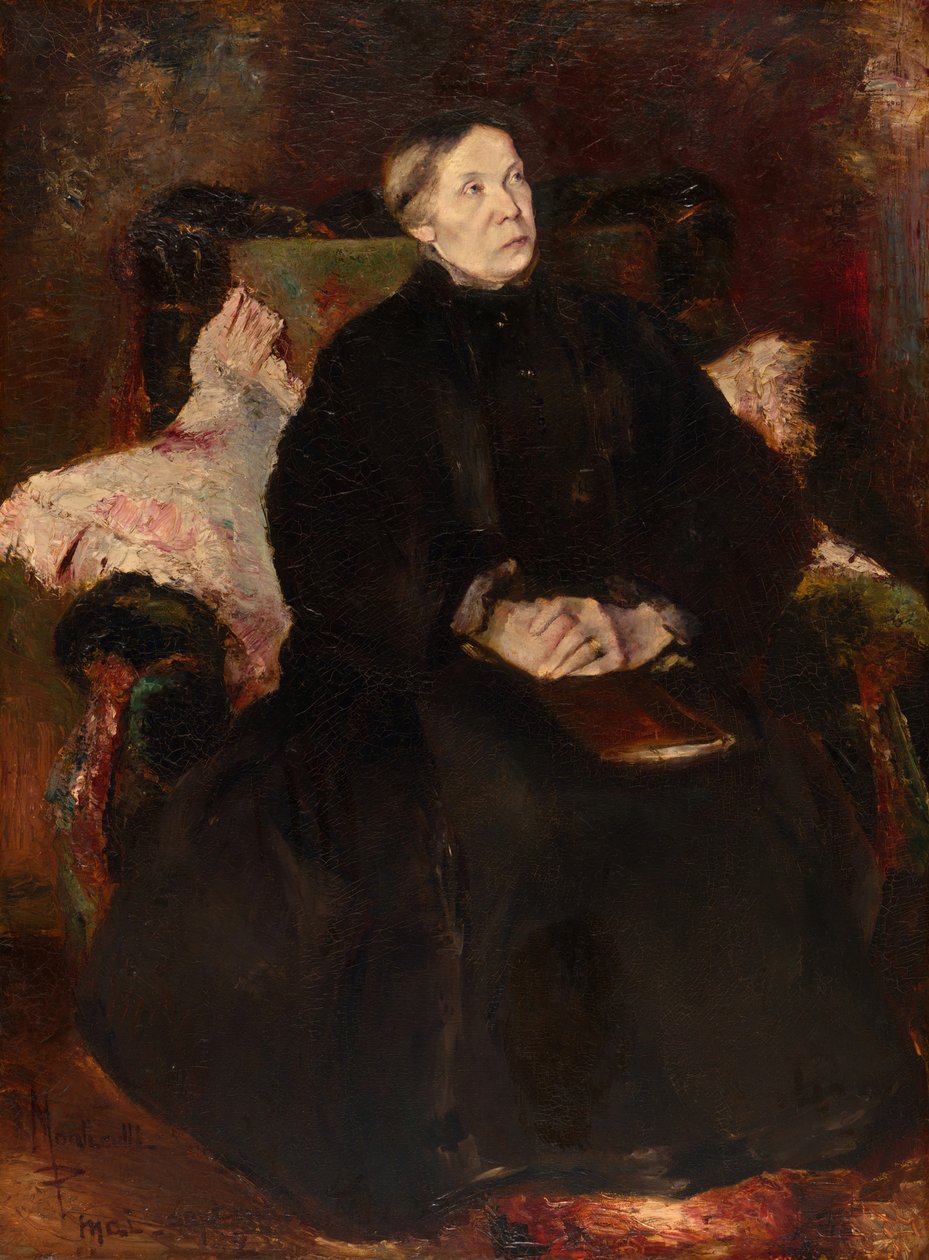 Ritratto di una signora da Adolphe Monticelli