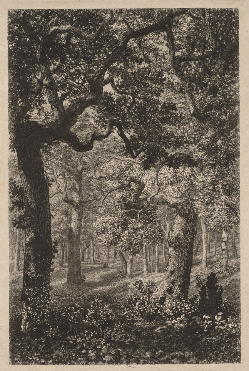 Nel bosco da Adolphe Théodore Jules Martial Potémont