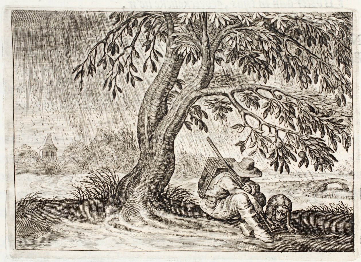 Rifugio, illustrazione da 