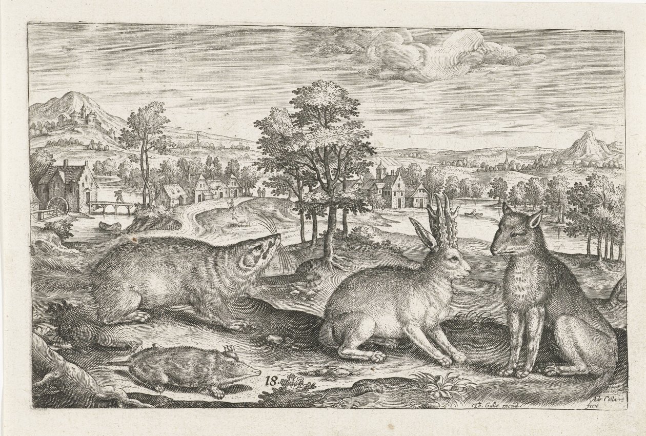 Animali del bosco da Adriaen Collaert