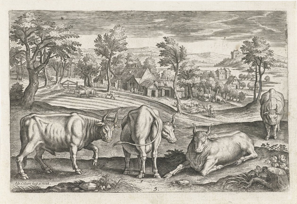 Runderen da Adriaen Collaert