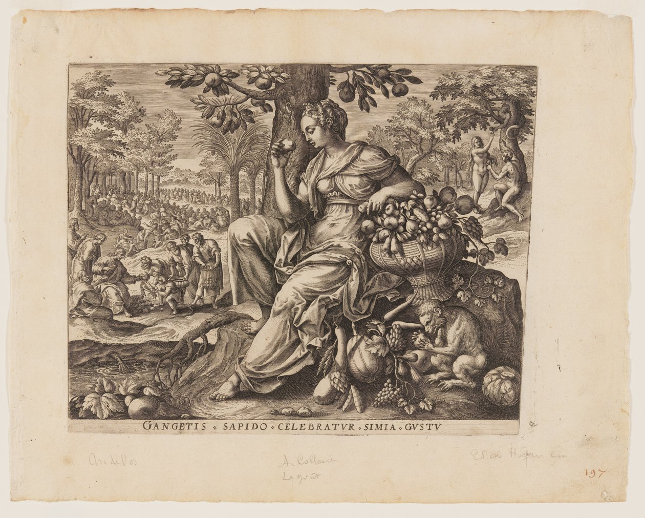 Il gusto, da I cinque sensi da Adriaen Collaert