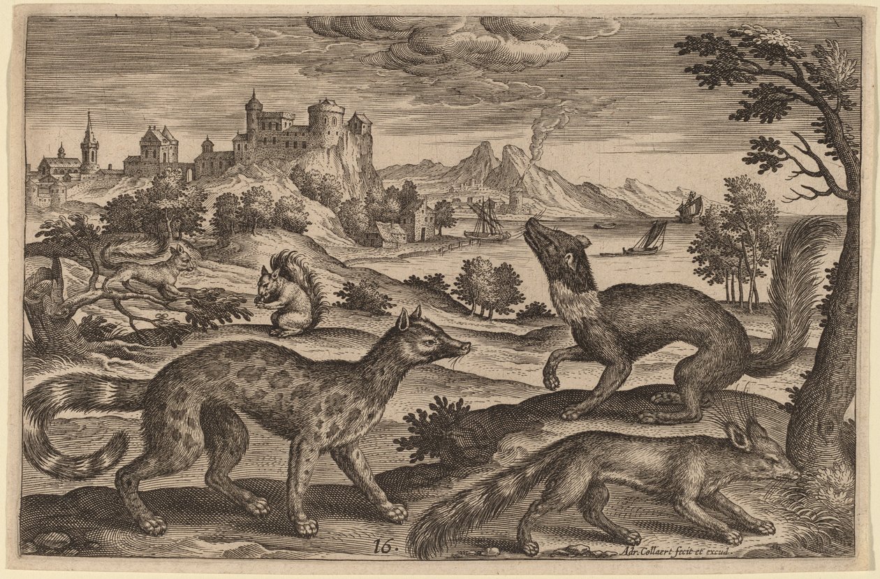 Donnole e scoiattoli da Adriaen Collaert