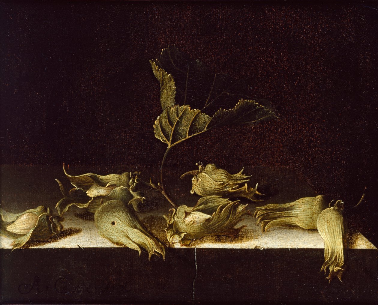 Natura morta con nocciole, 1696 da Adrian Coorte
