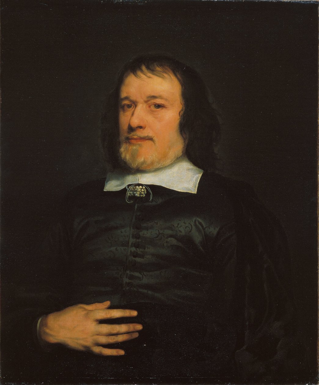 Ritratto di un gentiluomo da Adriaen Hanneman