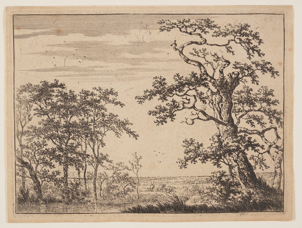 Lo stagno da Adriaen Hendricksz. Verboom