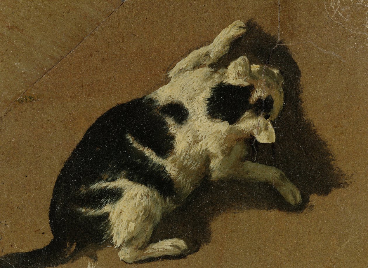 Gatto che gioca da Adriaen van de Velde