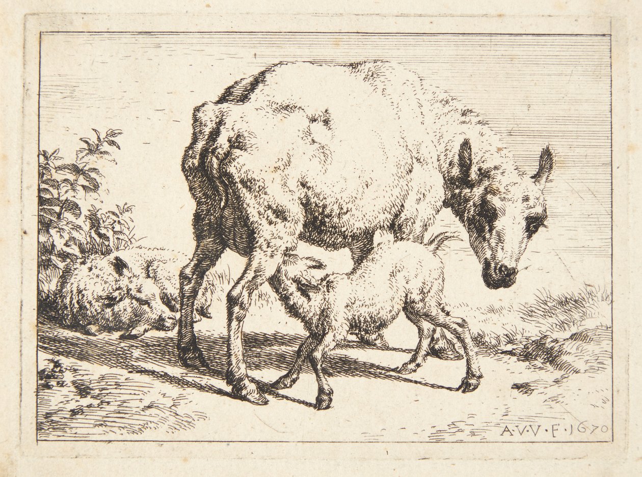 Pecora e due agnelli da Adriaen van de Velde
