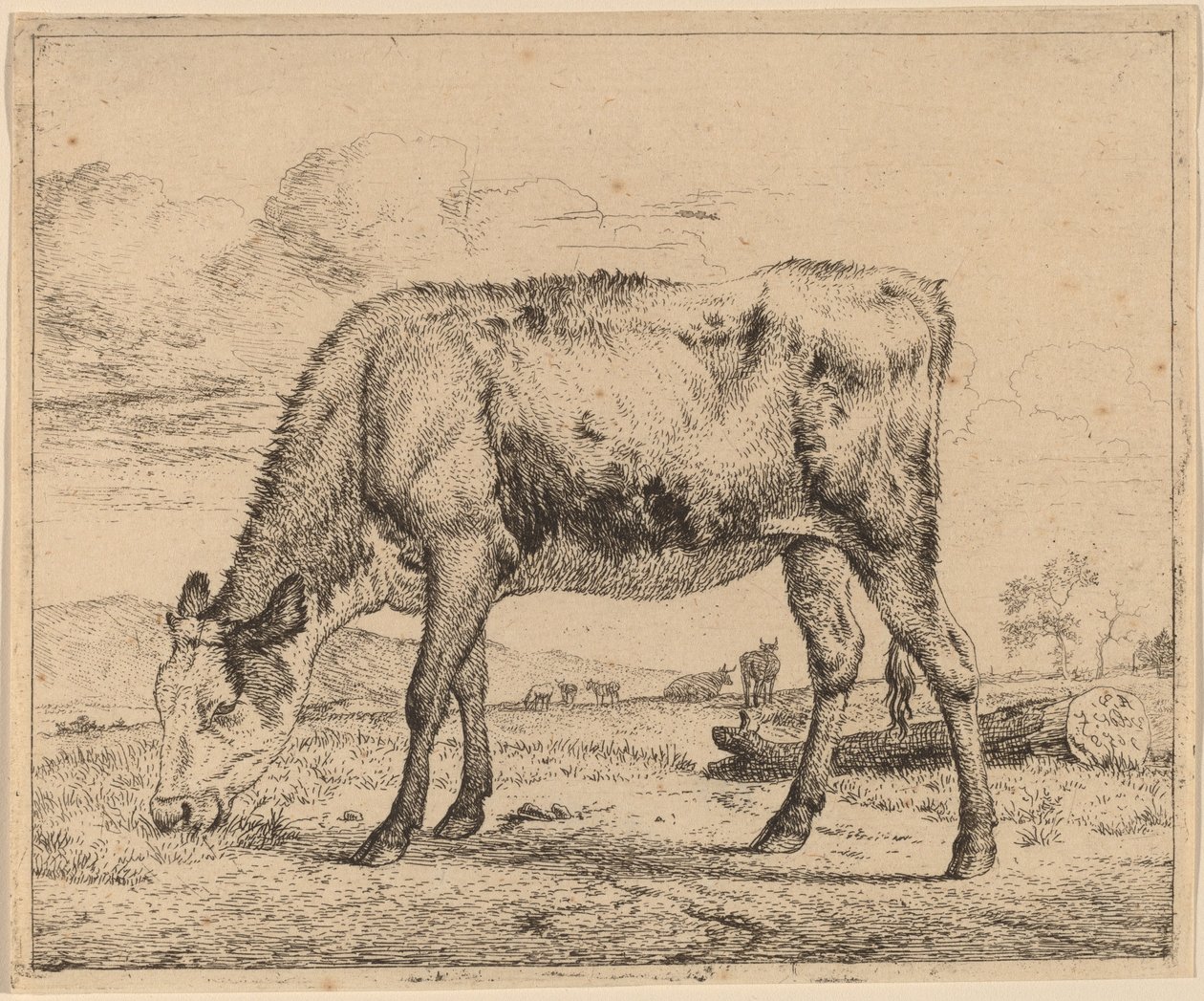 Vitello al Pascolo da Adriaen van de Velde
