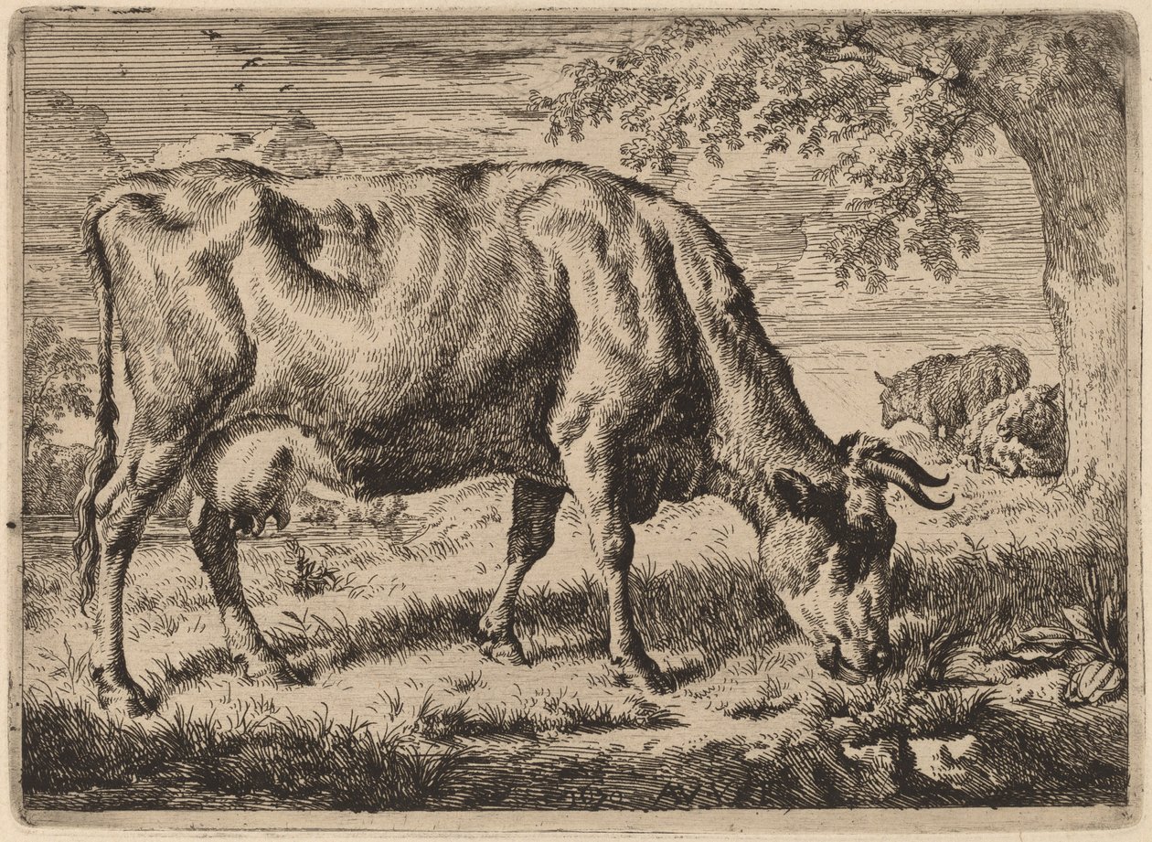 Mucca al pascolo con due pecore da Adriaen van de Velde