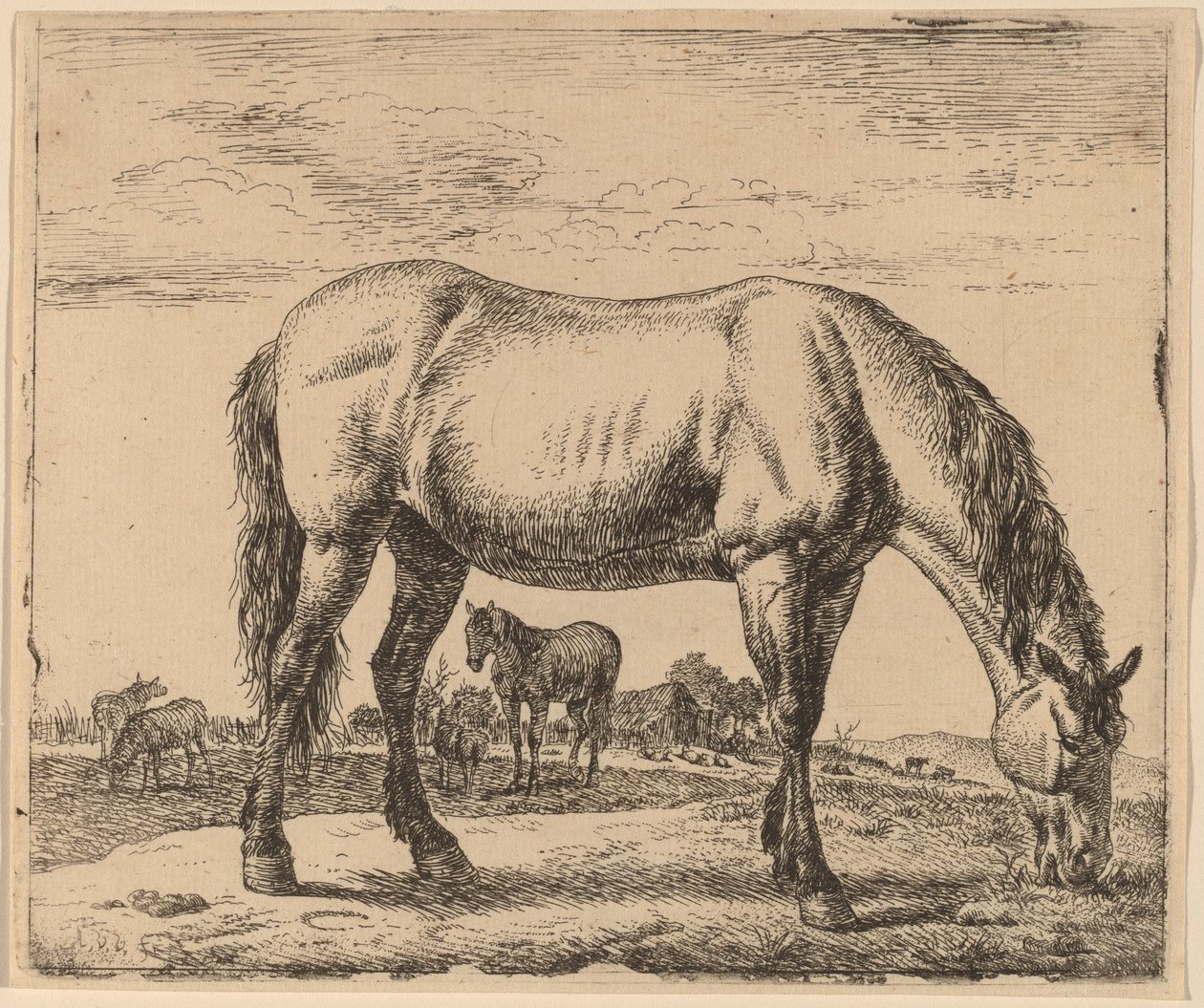 Cavallo al pascolo da Adriaen van de Velde