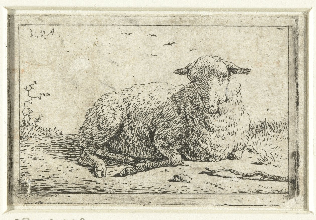 Pecora sdraiata da Adriaen van de Velde