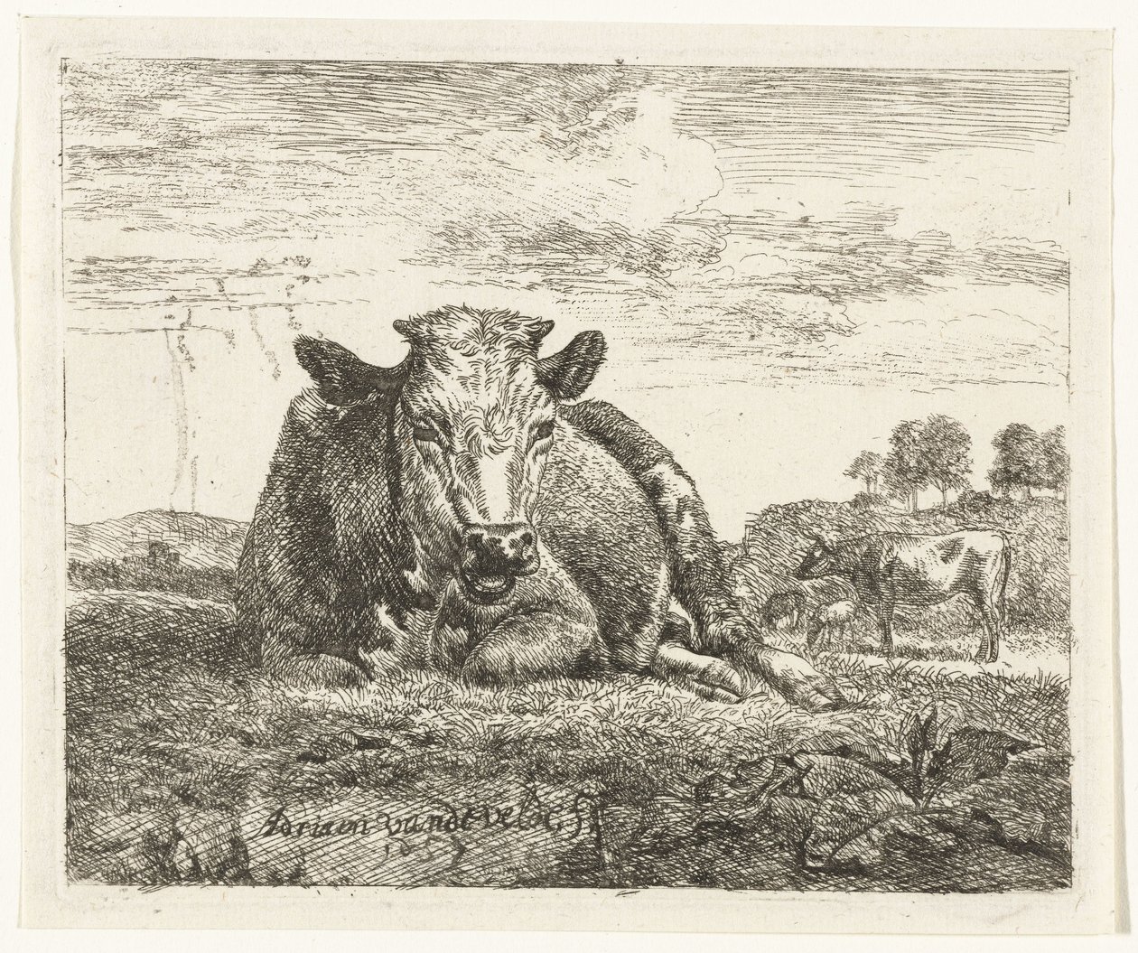 Mucca sdraiata da Adriaen van de Velde