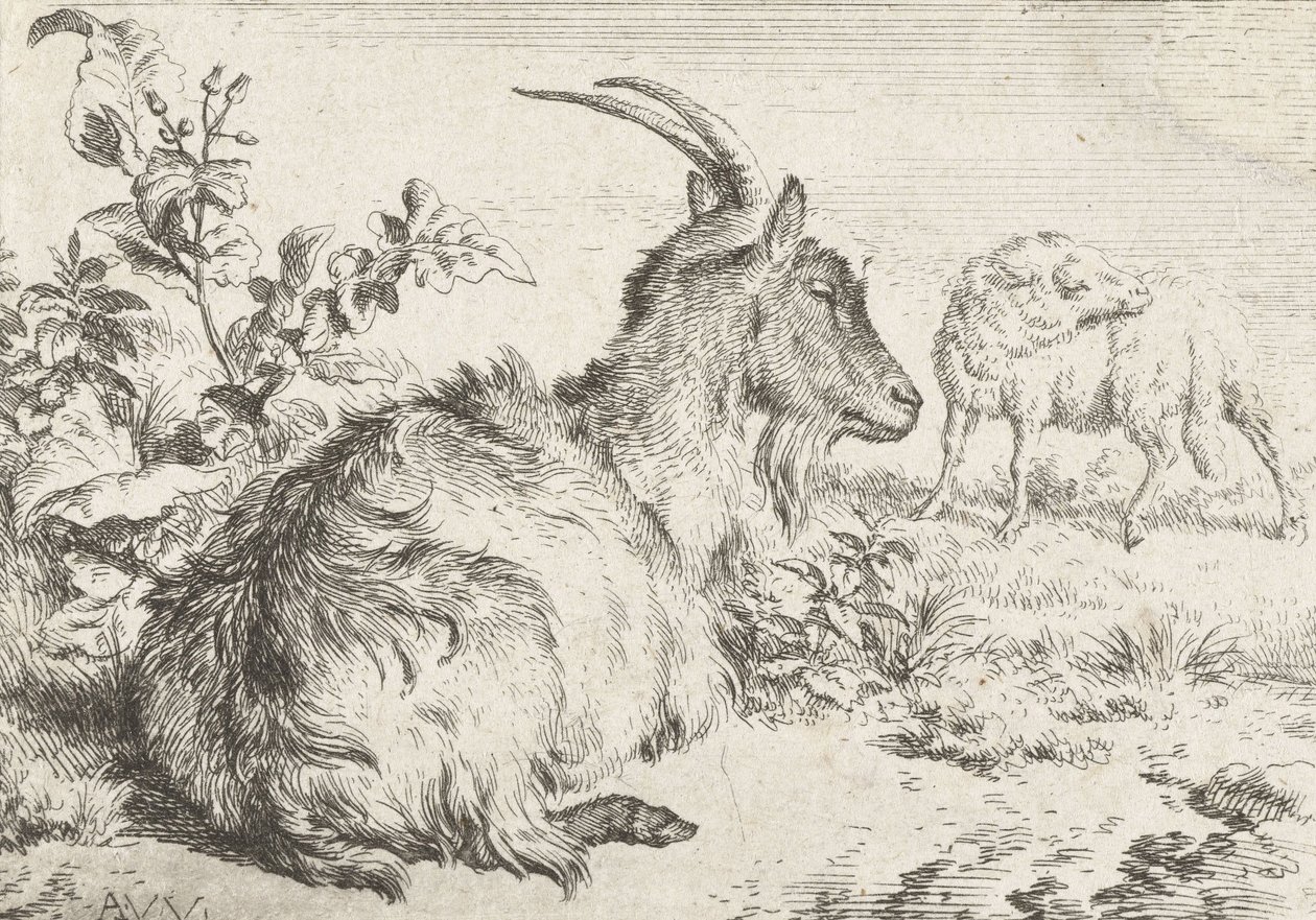 Capra sdraiata da Adriaen van de Velde