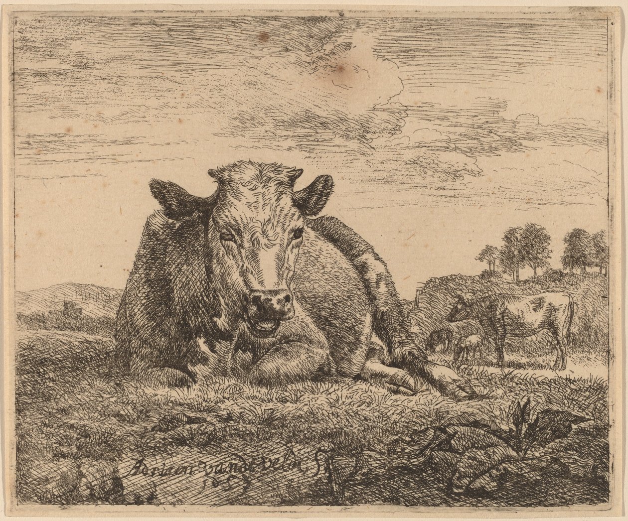 Mucca sdraiata da Adriaen van de Velde