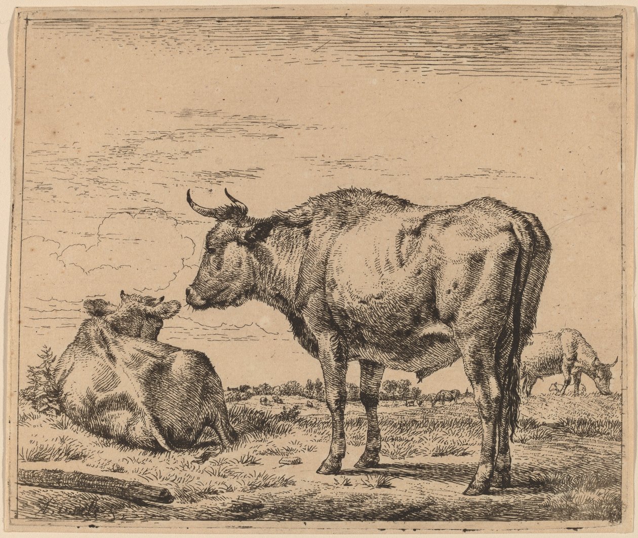Toro in piedi da Adriaen van de Velde