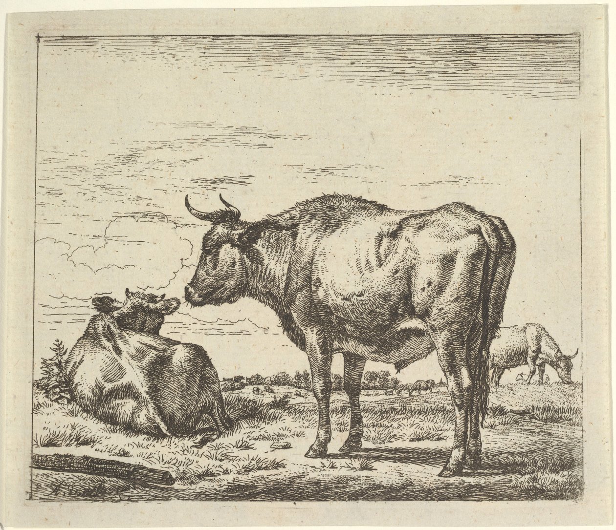 Toro in piedi, da Animali diversi da Adriaen van de Velde