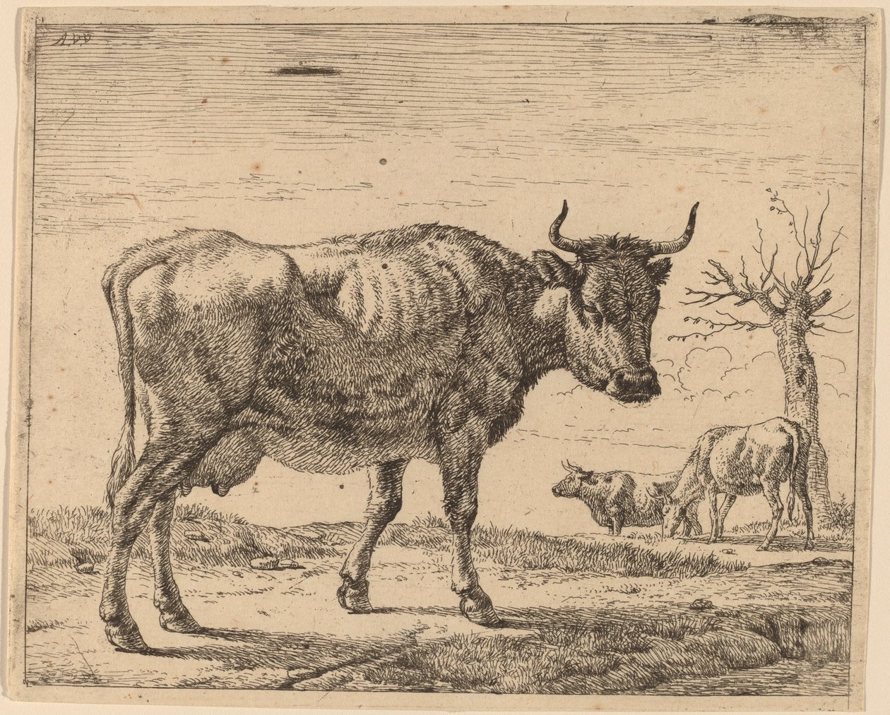 Tre mucche da Adriaen van de Velde