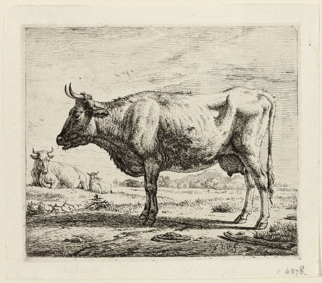 Due mucche e una pecora da Adriaen van de Velde