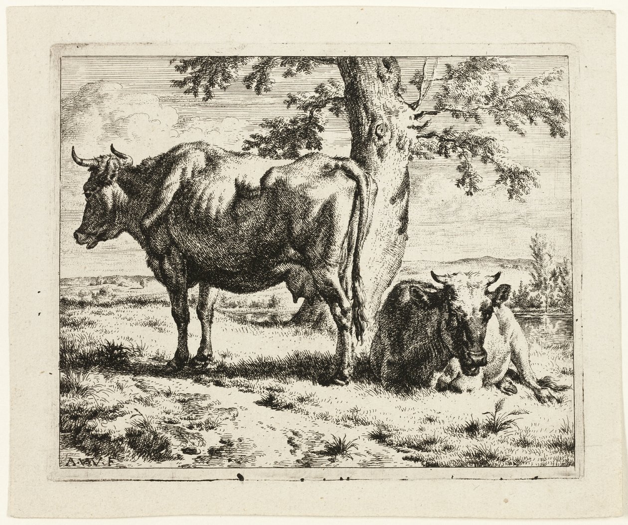 Due mucche sotto un albero da Adriaen van de Velde
