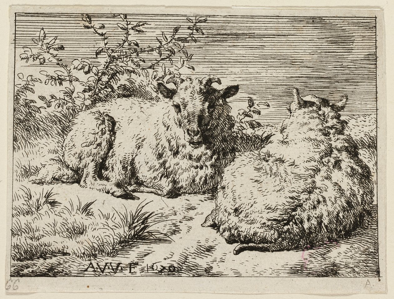 Due pecore da Adriaen van de Velde