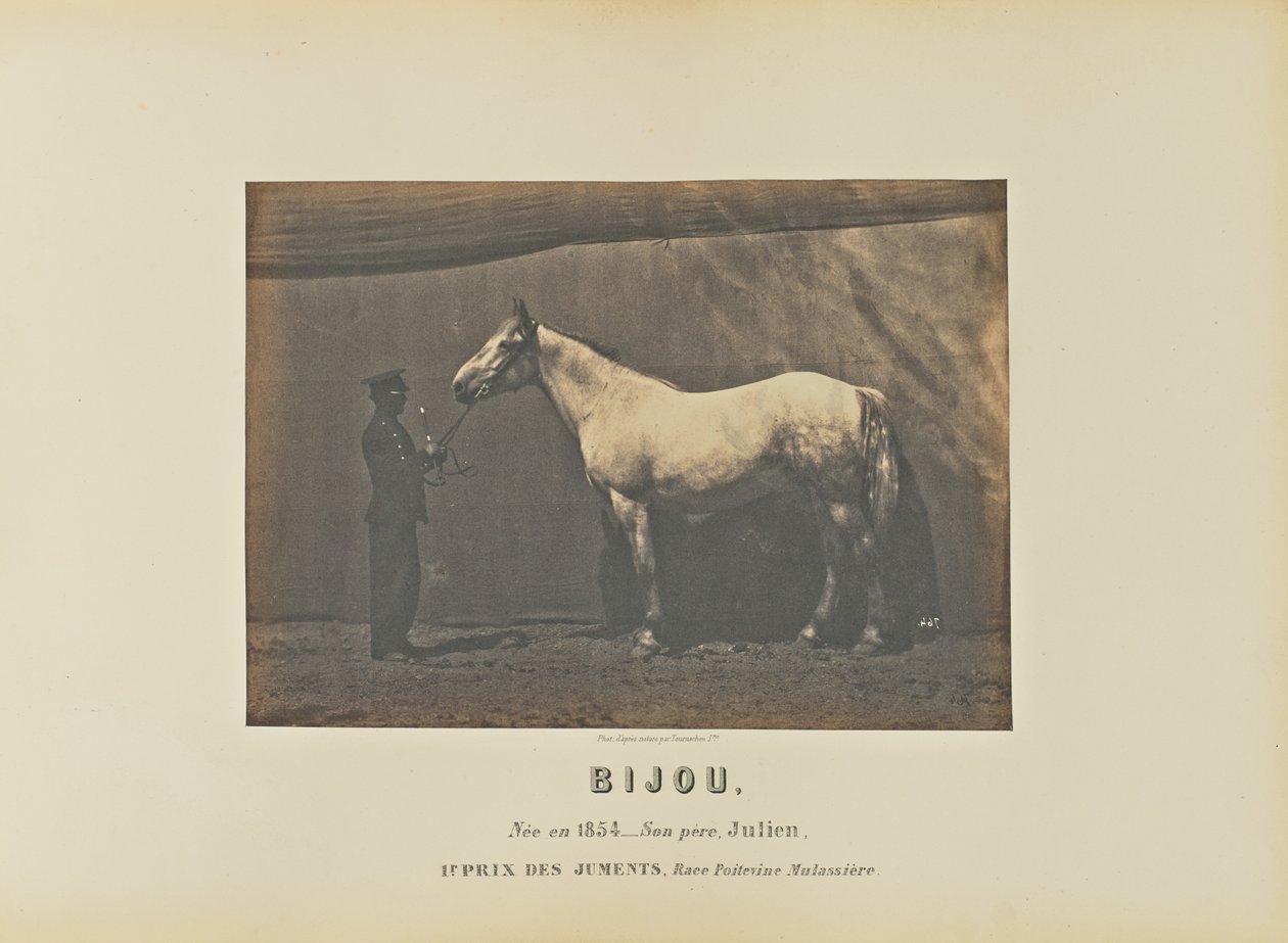Bijou da Adrien Alban Tournachon