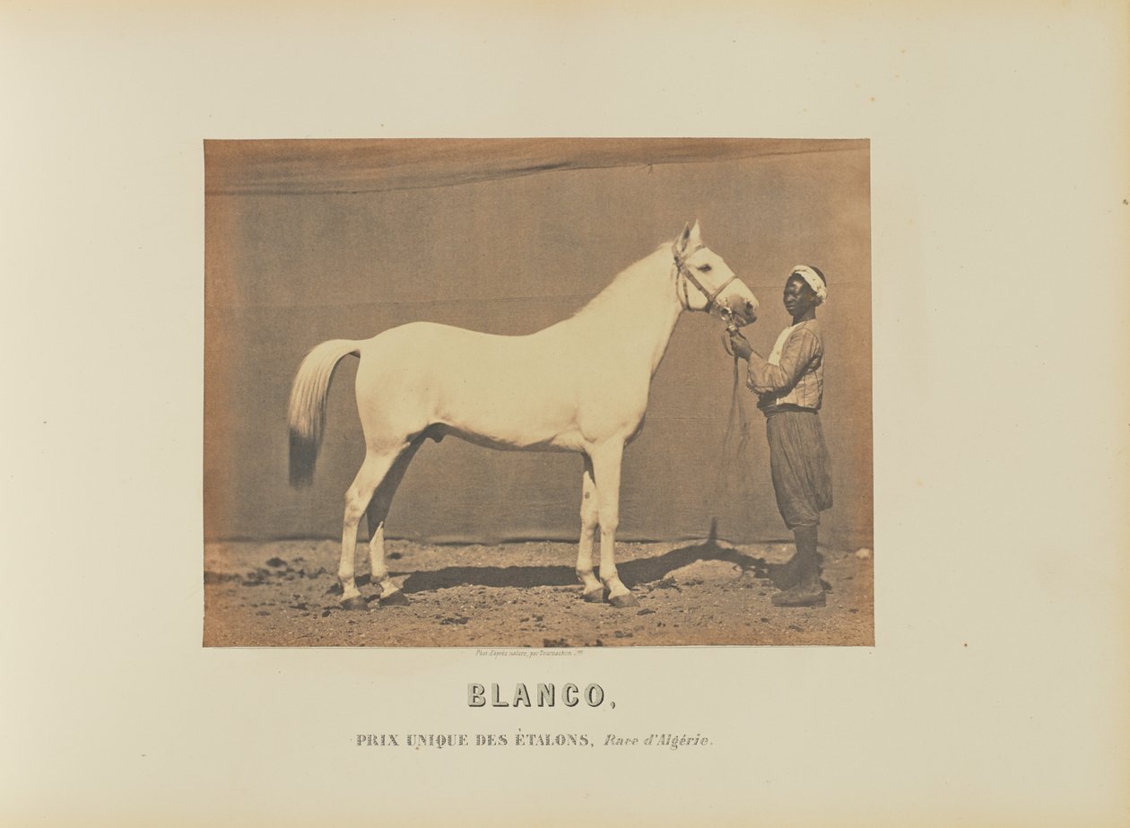 Blanco da Adrien Alban Tournachon