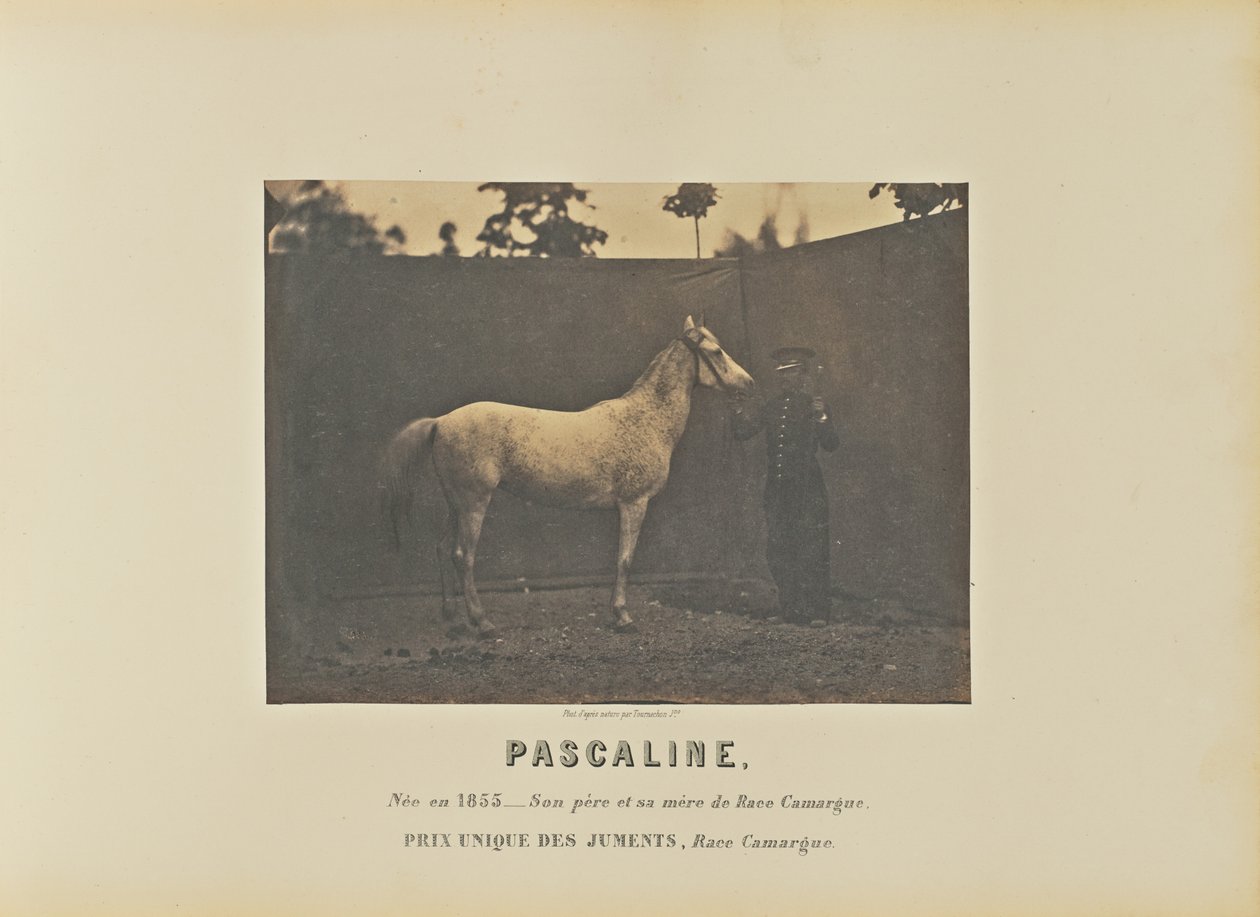 Pascaline da Adrien Alban Tournachon