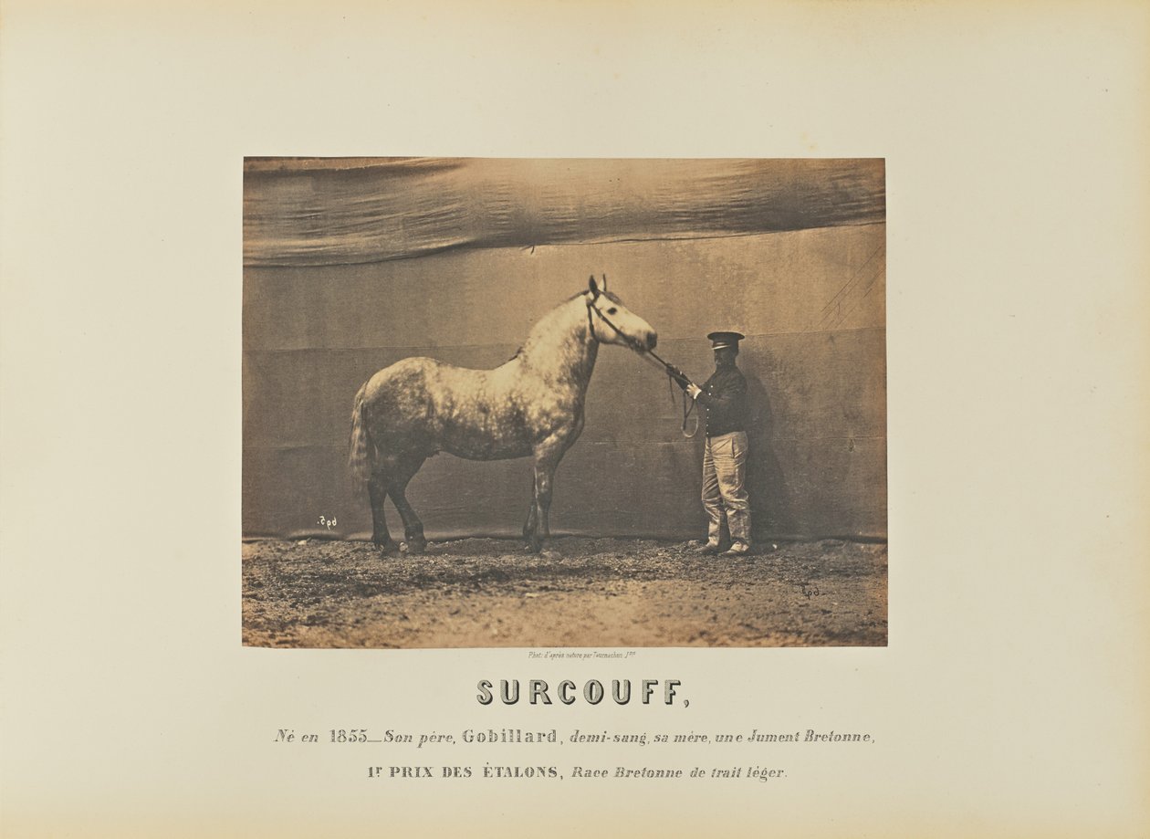 Surcouff da Adrien Alban Tournachon