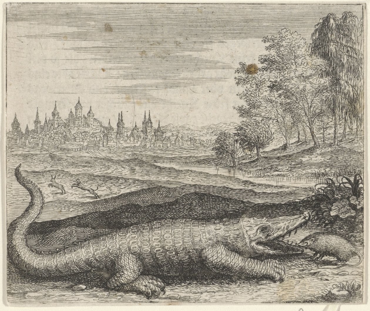 Favola del coccodrillo e della mangusta da Egidius  Sadeler (II)