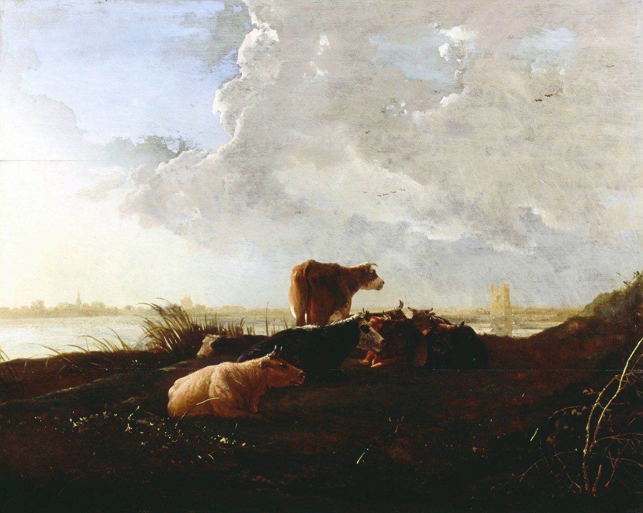 Bovini vicino a un fiume da Aelbert Cuyp