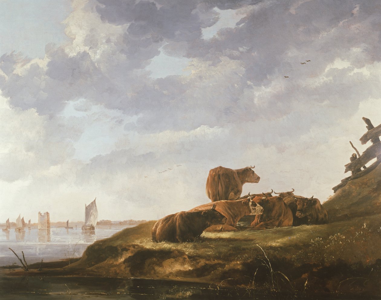 Sette mucche da Aelbert Cuyp