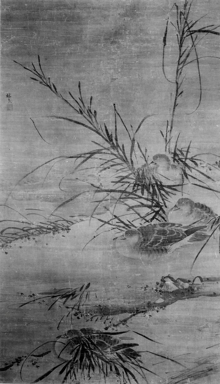 Anatre e canne da After Lin Liang