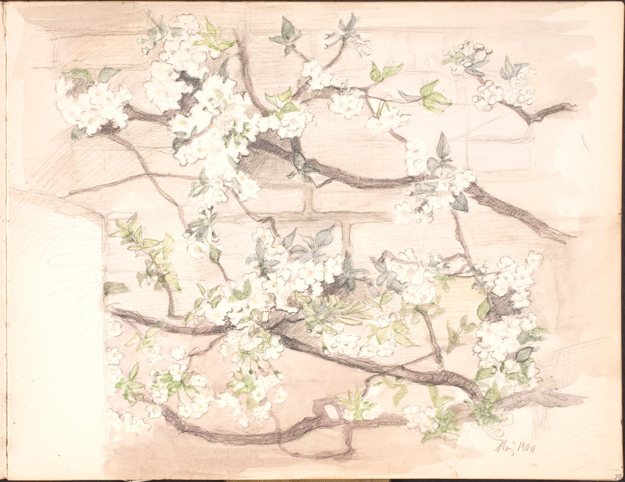 Quaderno di schizzi. Luglio 1899 - giugno 1901 da Agnes Slott Møller
