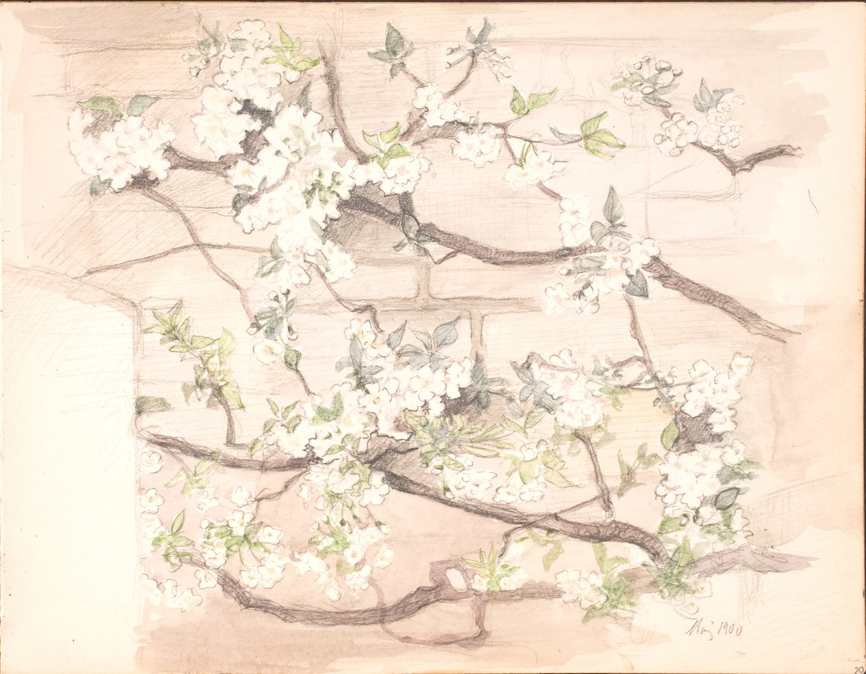 Fiori di Melo da Agnes Slott Møller