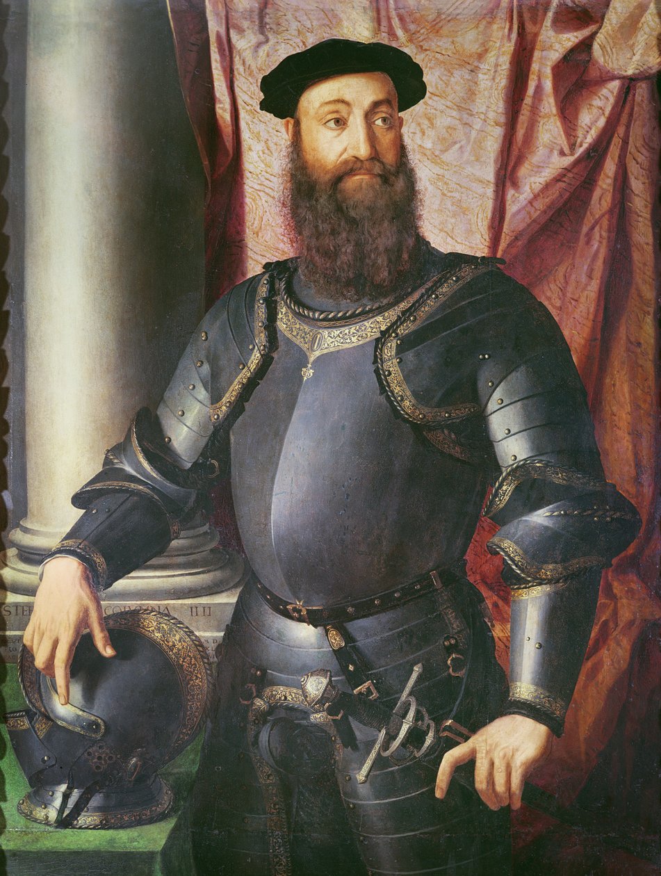 Ritratto di Stefano Colonna, generale di Carlo V, 1546 da Agnolo Bronzino