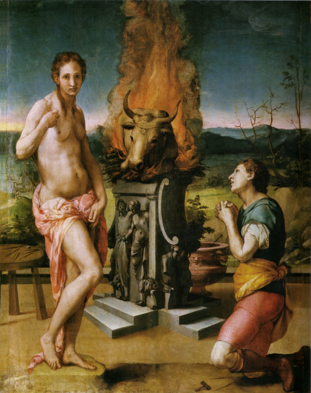 Pigmalione e Galatea da Agnolo Bronzino
