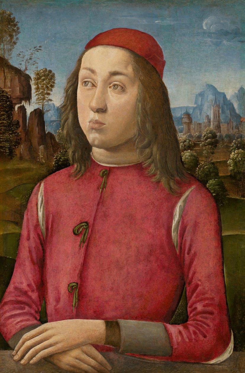 Ritratto di un giovane da Agnolo di Domenico