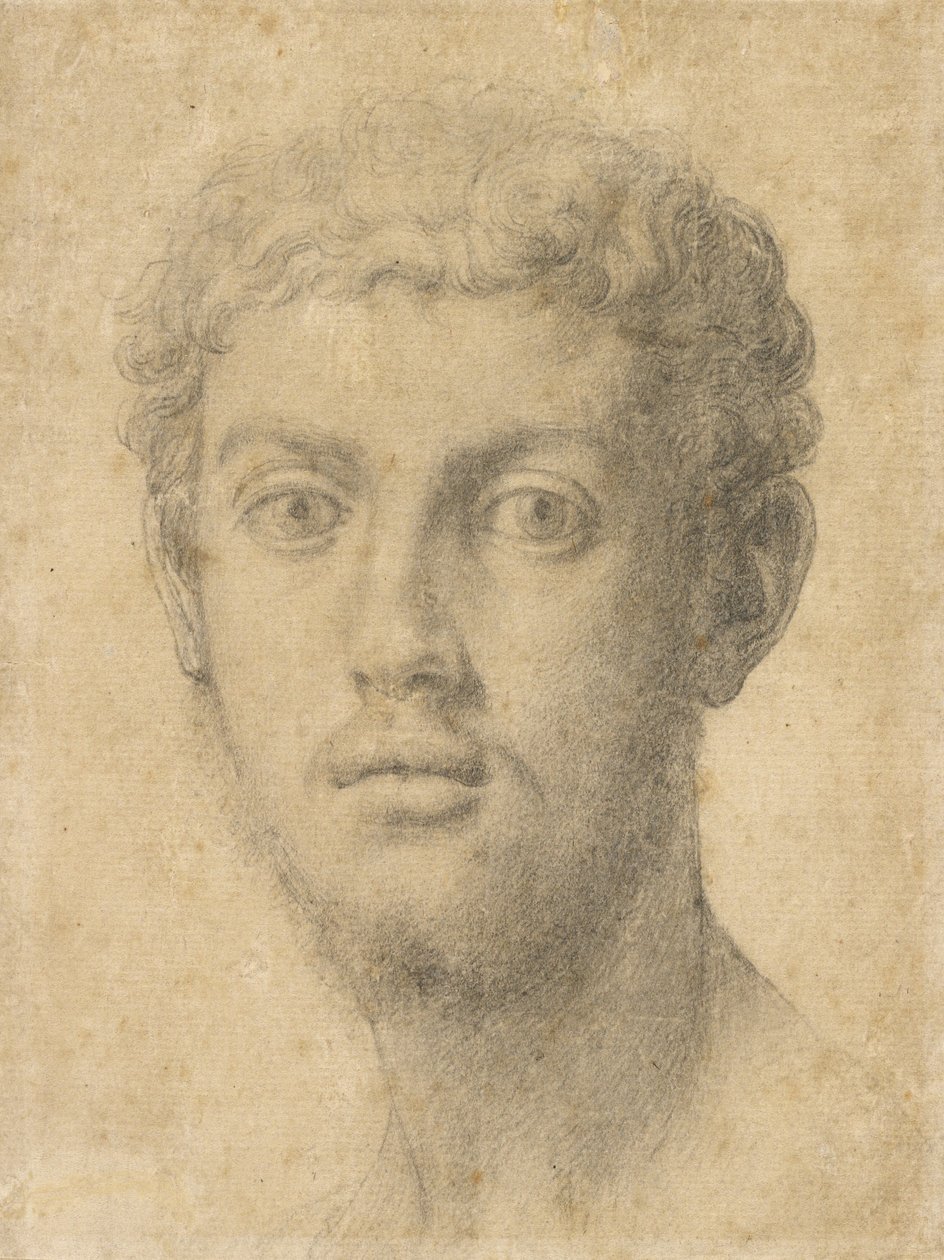 Testa di uomo da Agnolo Bronzino